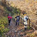 치악산둘레길 10코스 아흔아홉골길 | 치악산둘레길 10코스 아흔아홉골길(금대삼거리~당둔지주차장 &#39;25, 11/16)