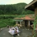 카페일로 이미지