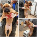 동탄대로2길 이미지