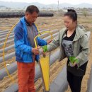 황금산업 이미지