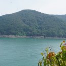 안목섬 Daum카페