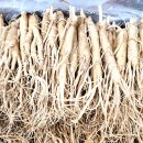 풍기인삼삼계탕 이미지