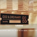 오드앤오디너리 이미지