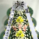 광주한국병원 이미지