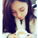 노아플라워 이미지