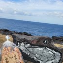 하모3리 | 제주살이 8일차 마라도, 산방산탄산온천 후기편