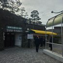 봄정원디자인 | 순천만국가정원 가족여행 찍먹 후기 (휠체어 대여, 입장료, 주차, 포토존)