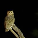 창의미술(6~7세) 이미지