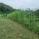 성인태양광발전소 이미지