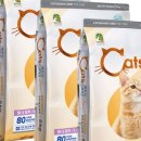 아이조아 요양보호소 서울점 | 구리 고양이 파양, 눈물 젖은 결정… ‘아이조아보호소’가 마지막 희망이었어요