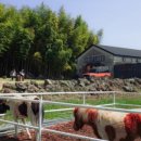 대한목장 이미지