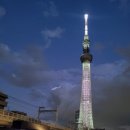 아울리버 이미지