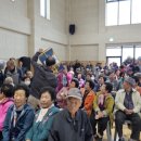 이백뜰애