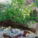 화성3리 이미지