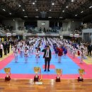 단국대 가온태권도 이미지