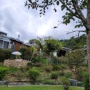 섬진강 플로렌스 이미지