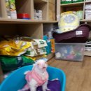 야옹동물병원 이미지