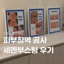 블루밍뷰티 마곡 에스테틱 | 마곡 여드름관리 세멘부스팅 솔직후기