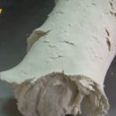 육수의달인 이미지