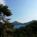 수림농장 이미지