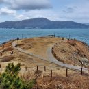 바람의언덕 이미지