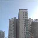 서구-01-163 네이버블로그