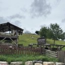 태백운수 이미지