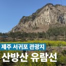 화순갈매기 | 제주 산방산유람선 / 제주올패스로 다녀온 제주 가족여행 추천 코스서귀포 가볼만한곳