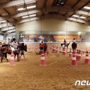 농협경제지주 안성팜랜드 승마센터 이미지