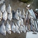 동고민박 이미지