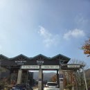 재해문자전광판 | 광주 곤지암 화담숲 11월 단풍 모노레일 예약 방문 후기