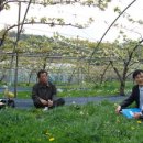 이준 농장 이미지