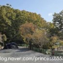 진북편백골관광농원캠핑장 이미지