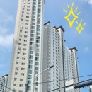 상사서로-7 이미지