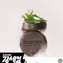 디셀