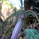 웅천초등학교 이미지