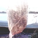 안산이농장 이미지