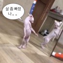 여름한컵 이미지