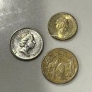 버스정류소_L마트 | 호주 신혼여행:: 골드코스트 Day 1,2 - 해밀턴아일랜드에서 브리즈번 경유 이동/버레이헤드 국립공원...