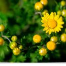 기원커피방 이미지