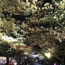 꽃보라미용실 네이버블로그