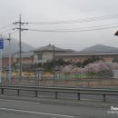 경주여중 앞