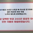 제주곤이칼국수동탄삼성반도체점