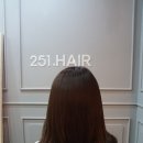 헤어251