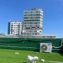 멍머니 2호점 이미지