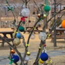 밤티민박 이미지