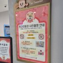 네이버(주) | 롯데월드 연간이용권 네이버페이 할인 방법 가격 후기