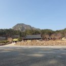 법흥사징효국사부도 | 영월 법흥사 : 부처님의 진신사리를 품은 평온한 안식처 천년 고찰의 숨결을 간직한 영월 법흥사