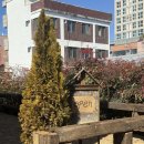 신안동6 | 광주 신안동 분위기 좋은 신상카페 차즈카 방문후기