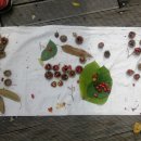 북변어린이집 이미지